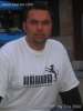 Bild 684