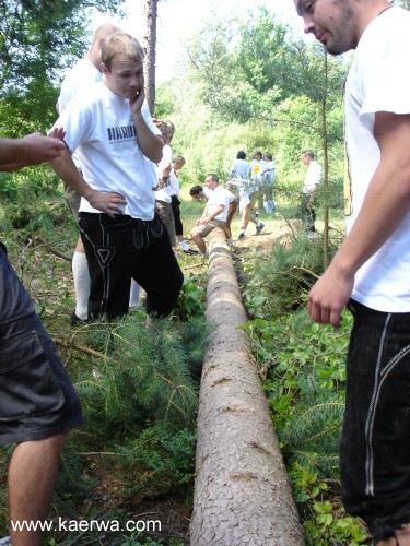 Krwa 2007 Krwabaum aufstellen