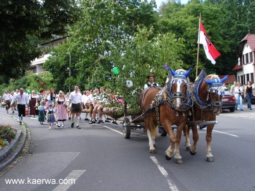 Krwa 2007 Krwabaum aufstellen