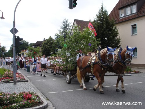 Krwa 2007 Krwabaum aufstellen