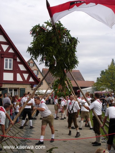 Krwa 2007 Krwabaum aufstellen