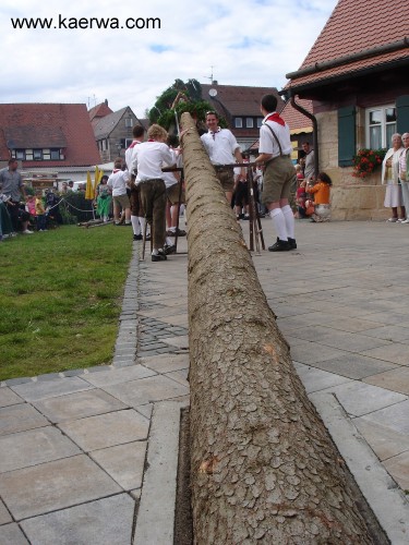 Krwa 2007 Krwabaum aufstellen